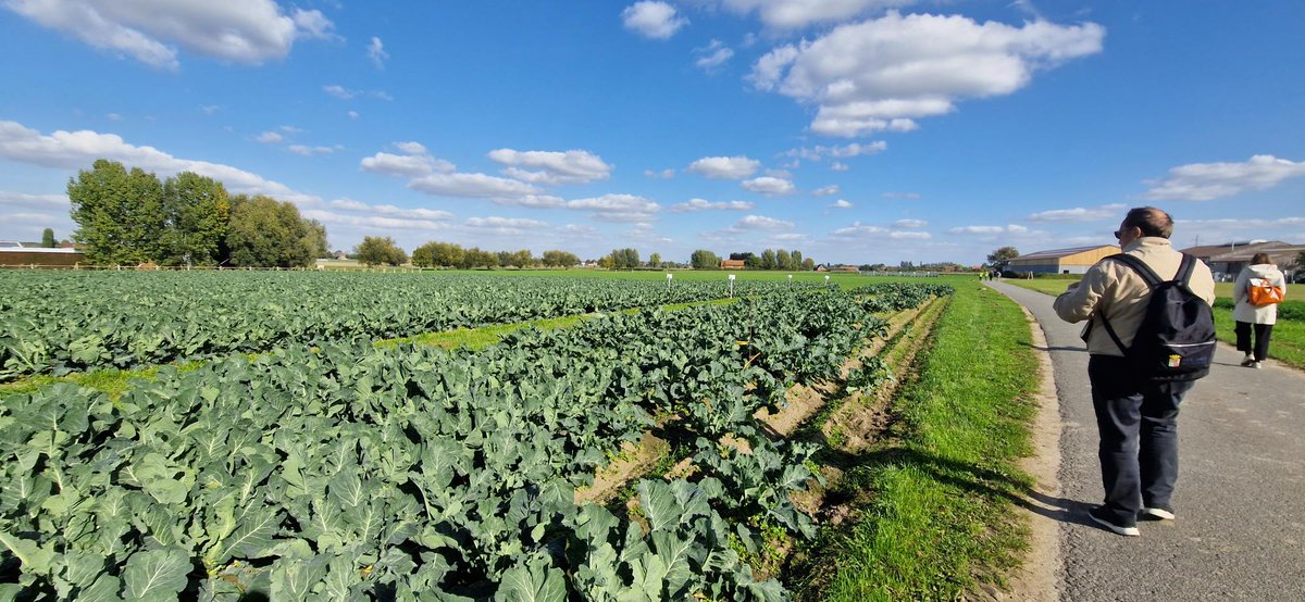OrganicsEurope's tweet photo. Day 1 of #OID2022 closes with a field trip to @InagroBeitem's organic trial farm: a meeting point between research and practical application of new technologies, new cropping systems and products. 
#OrganicInnovationDays #TPOrganics @TPOrganics https://t.co/aGGTils9HW