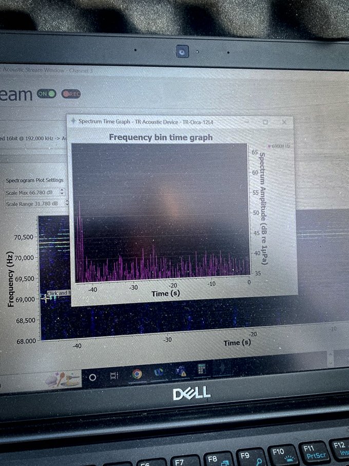 RS_Aqua's tweet image. Spotted in Port Solent 📸 Our #Technical team and #OceanScientist Phoebe were testing the two hydrophone-integrated rudders for @GBRow2022🚣‍♂️ Preparing for the next #racewithpurpose, our team has been working on the integrated Porpoise acoustic systems. 
▶ youtube.com/watch?v=nY7Xtt…