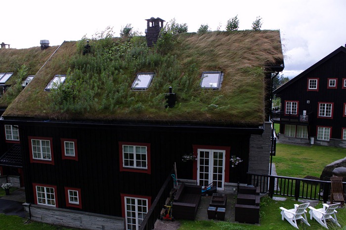 Toiture végétalisée traditionnelle en Norvège ©Amusing Planet