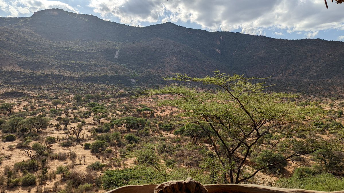Joyndinda's tweet photo. Found a gem over the long weekend.

Ilngwesi eco lodge. 32 kms North West of Isiolo town. (All off road, no mobile network btw) https://t.co/k7I9hRFh4B