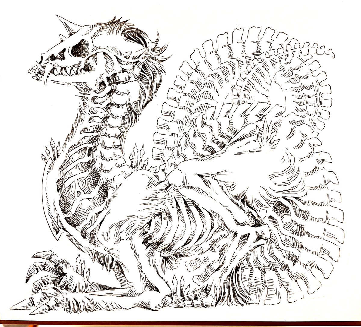 骨と皮のドラゴン 