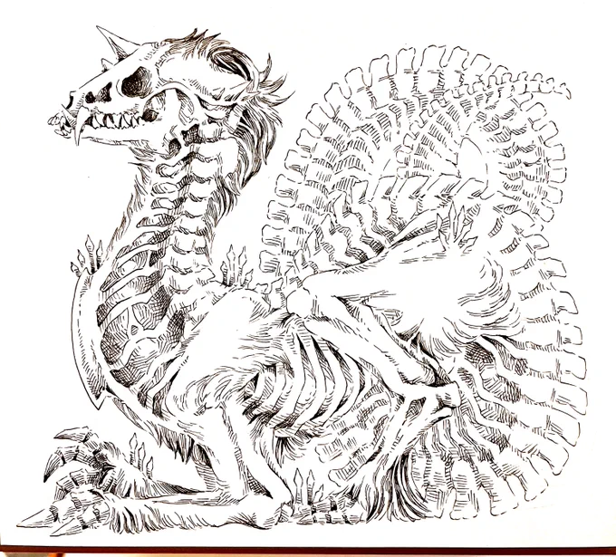 骨と皮のドラゴン 