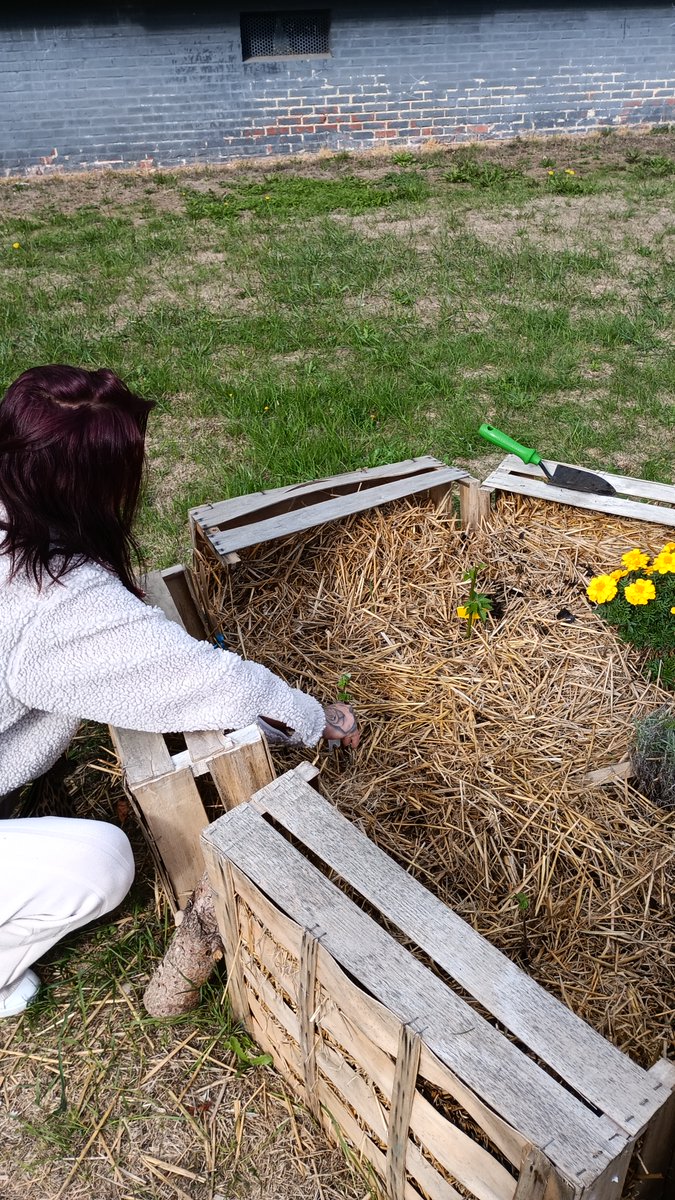 lesangesgardins's tweet photo. 🧩#quartierfertile
@lesangesgardins présents à Avion pour
👉 Déployer des actions d’#agricultureurbaine
👉 Agir pour les habitants et le territoire en lien avec les acteurs locaux et associations de quartier

@PdChabitat @AggloLensLievin @AnruOfficiel @ANCTerritoires @ademe https://t.co/uvr5WJZYSc