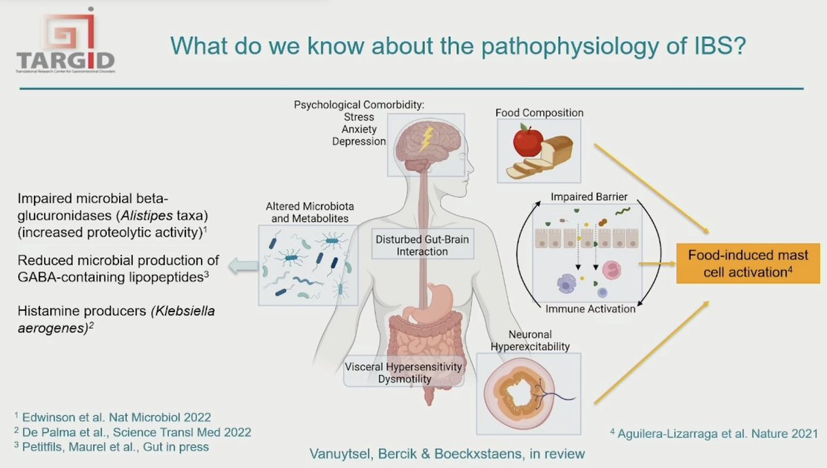 KewinSiah's tweet photo. Excellent presentation by Prof Guy Boeckxstaens @TARGID_KULEUVEN on why #IBS may be an immune-mediated (mast cell activation) disorder and potential new targets/treatment for IBS in the future.
#UEGWeek #uegweek2022 #myUEGcommunity #DGBIs #food #GITwitter #MedTwitter #GIfellows https://t.co/QnBrtJ4Ijn