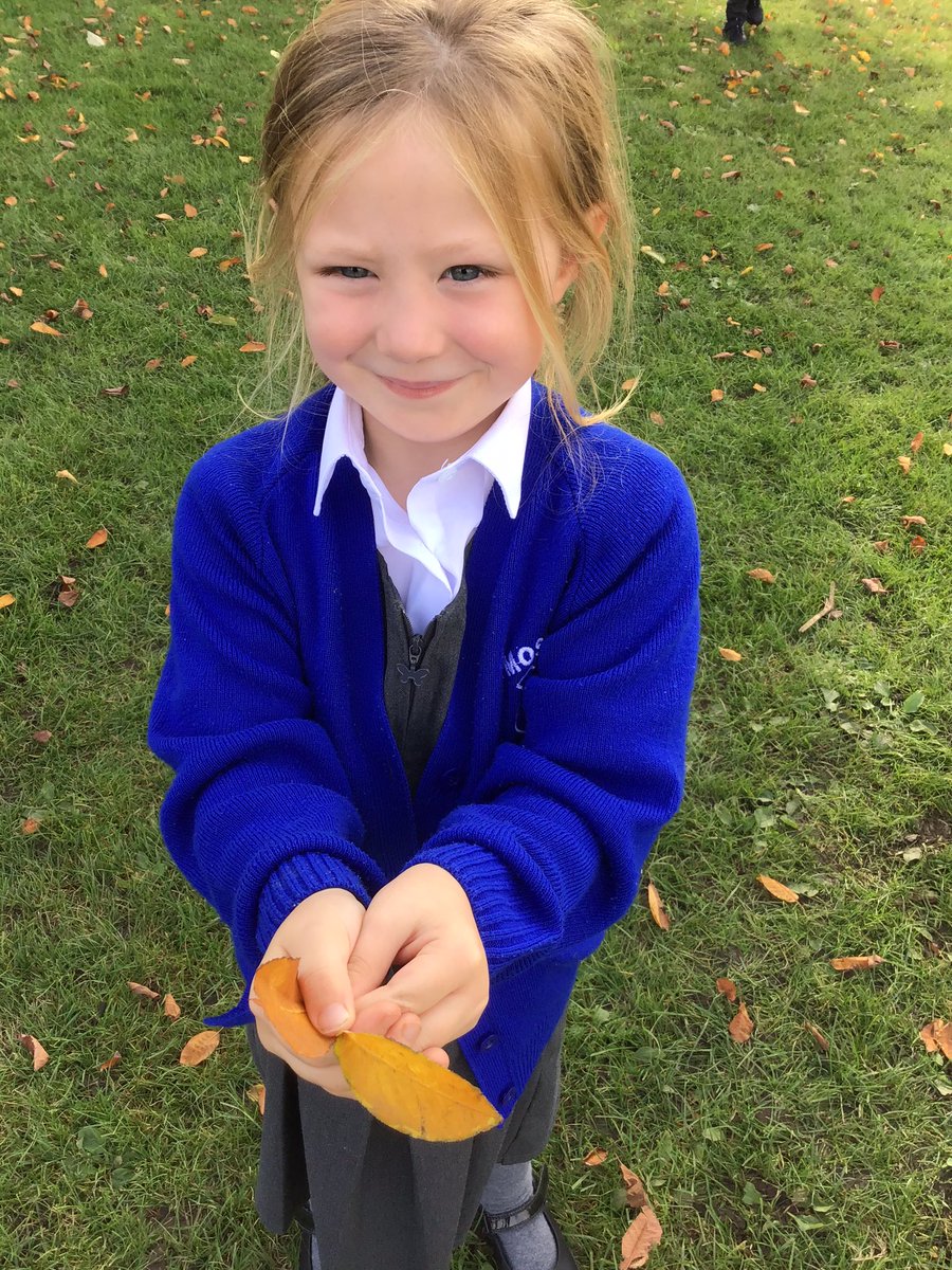 MosspitsYr1's tweet photo. We love looking for signs of autumn in our school grounds. https://t.co/1zpe763jr7
