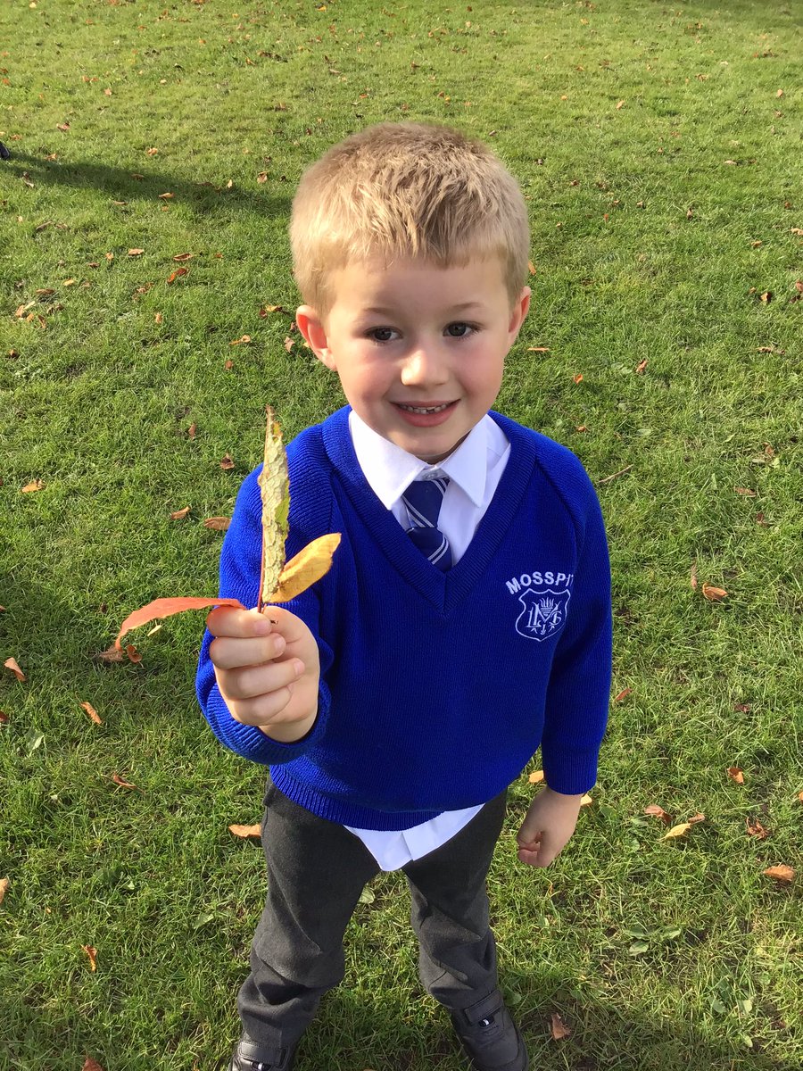 MosspitsYr1's tweet photo. We love looking for signs of autumn in our school grounds. https://t.co/1zpe763jr7