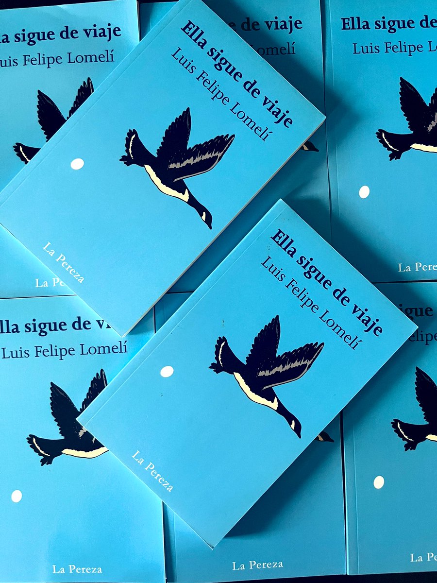 ¿Qué puede ser más atinado que una colección de historias sobre irse? Migrar, irse del amor, de la propia biografía, irse con la mente, irse del abuso, del papel que uno está actuando (así sea la maternidad), incluso de la felicidad y sobre todo de lo cotidiano

@Lfelipelomeli