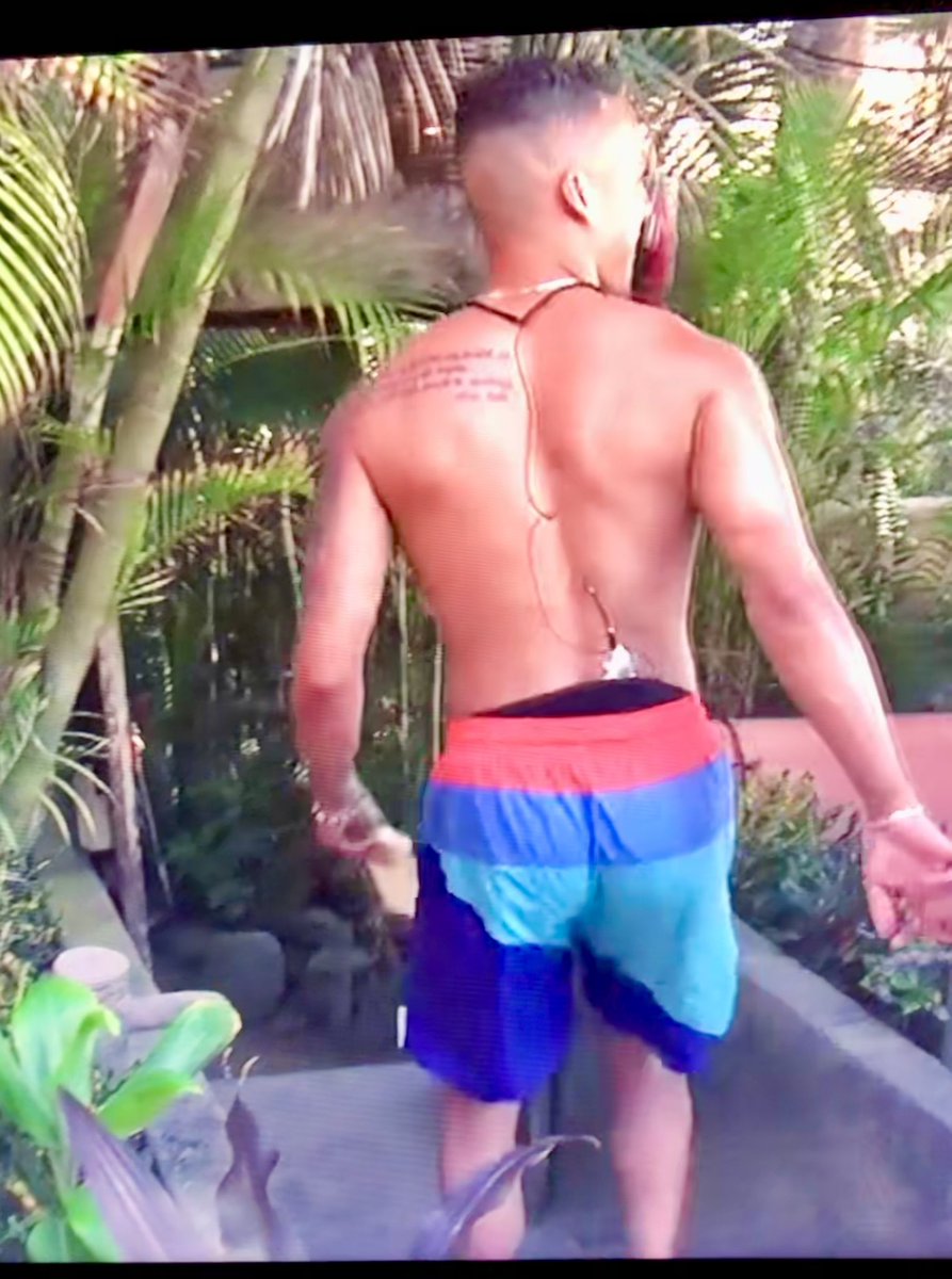 rolaxdontdoit's tweet photo. weird choice that brandon decided to wear michelle’s dad’s swim trunks to paradise, but you do you @ArdenMyrin @annahossnieh #WYATR https://t.co/jwCSW6BvZT