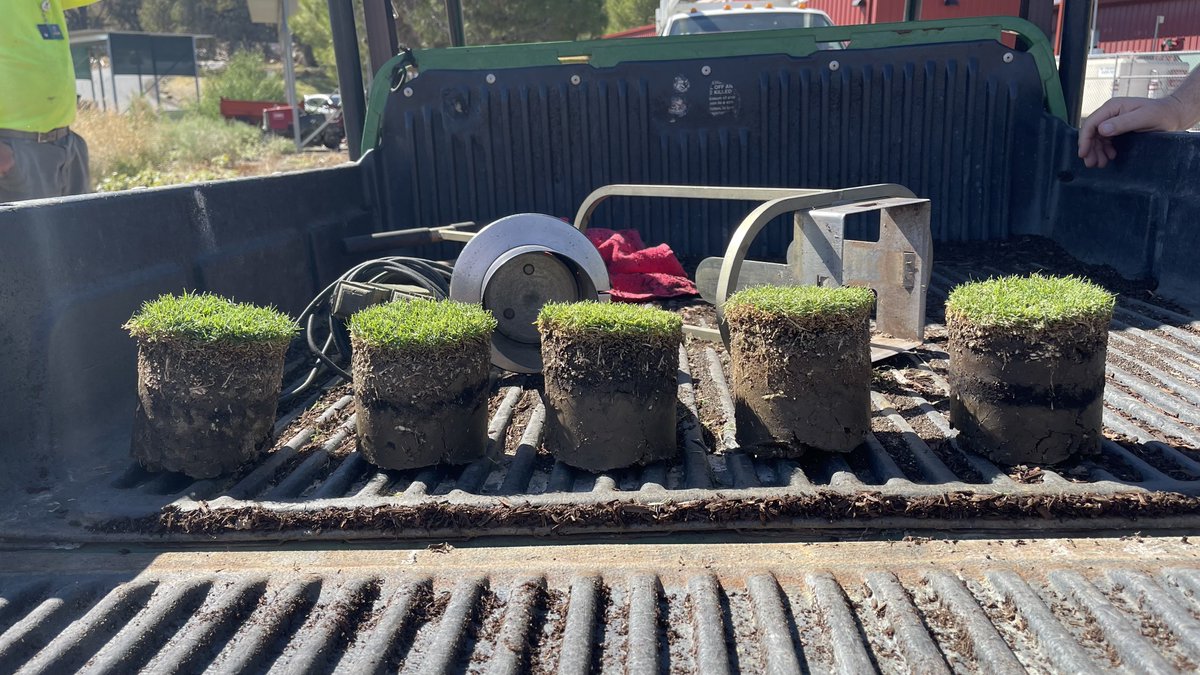 Adam Russell tweet media