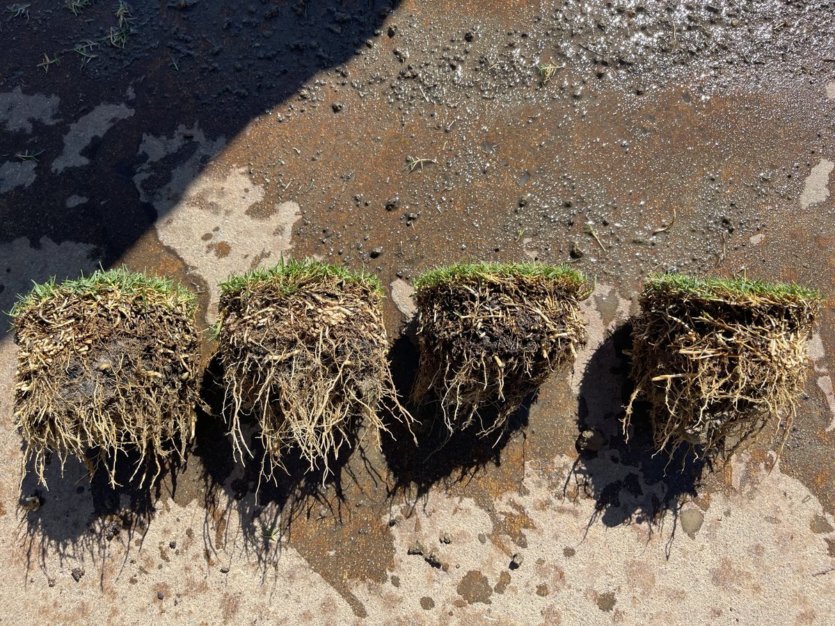 Adam Russell tweet media