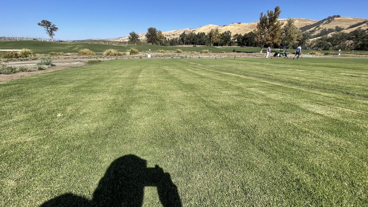 Adam Russell tweet media