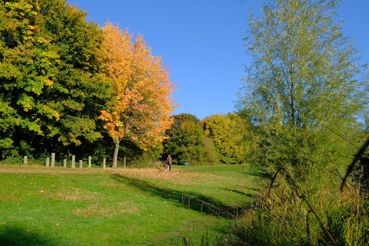 StevenageBC tweet picture