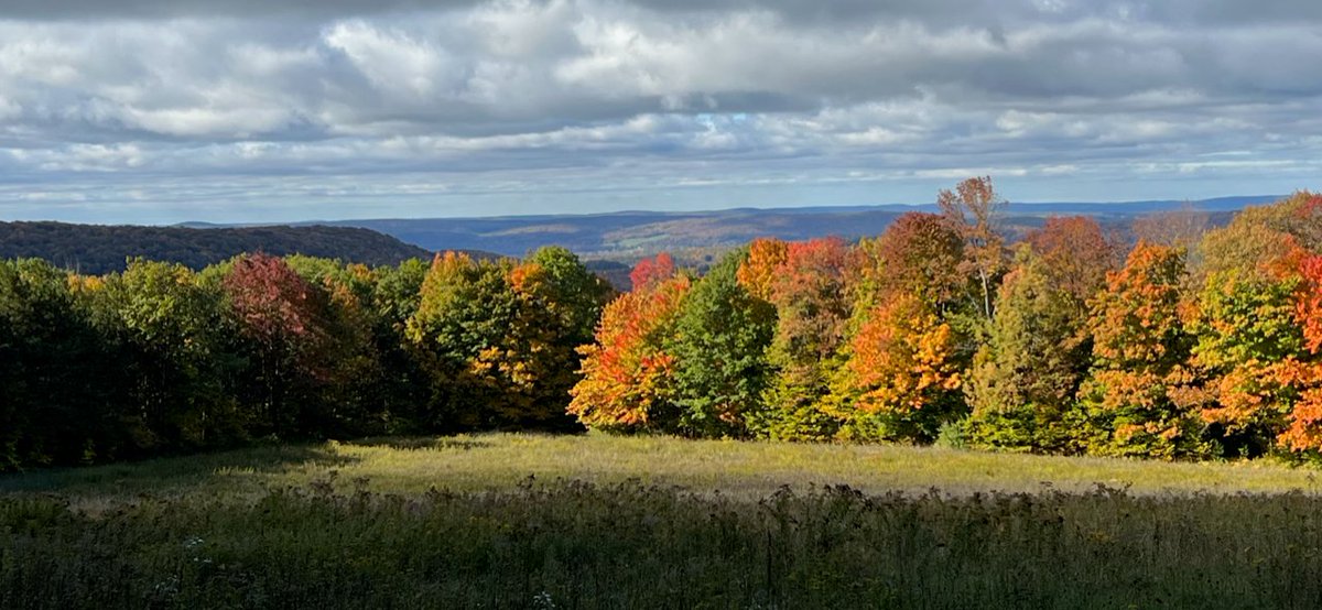gofingerlakes's tweet photo. 🍁 The view from Hammond Hill SF, Tompkins Co.
🍂 Directions and more info: https://t.co/5QcI66GqwD
🌾 Photo: Andy Zepp
     #getoutside #gofingerlakes #fallcolors2022 https://t.co/o5VPSiA4hw