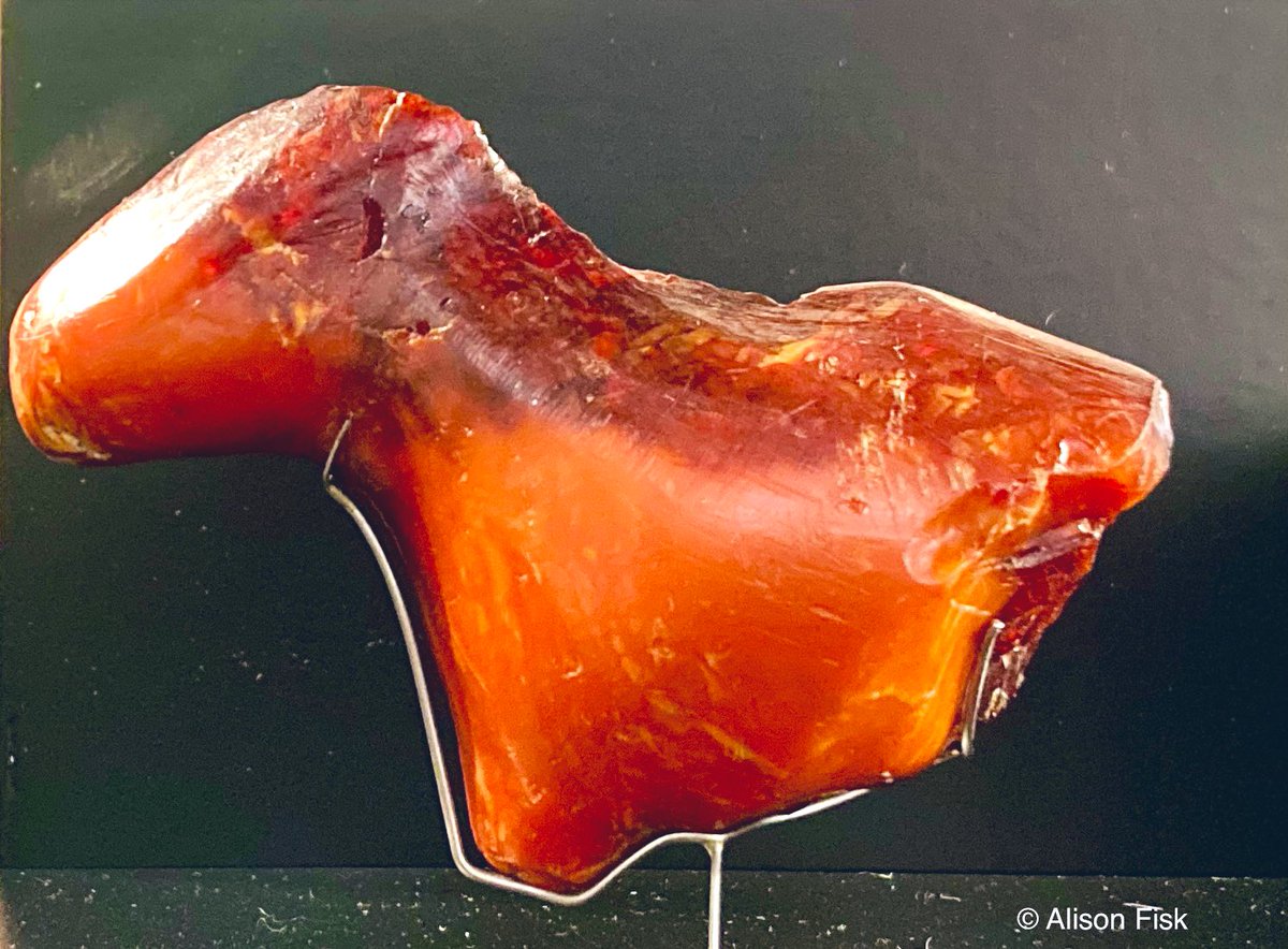 AlisonFisk's tweet photo. Magical amber animals from the Danish Stone Age. These beautiful figurines were carved 10,000-7,000 years ago and may have been worn as protective amulets. Amber can give off sparks in the dark and make hair stand on end. Photos my own.

#Archaeology https://t.co/nP57dkyeOs