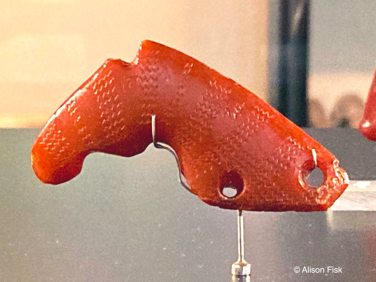 AlisonFisk's tweet photo. Magical amber animals from the Danish Stone Age. These beautiful figurines were carved 10,000-7,000 years ago and may have been worn as protective amulets. Amber can give off sparks in the dark and make hair stand on end. Photos my own.

#Archaeology https://t.co/nP57dkyeOs