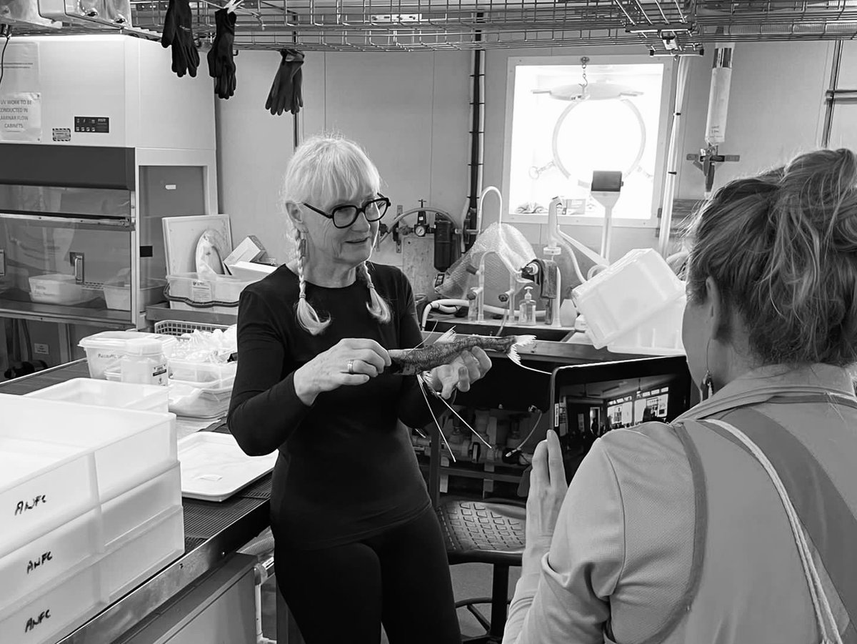 KateCCranney's tweet photo. It's #AdaLovelaceDay, a day to celebrate #WomenInSTEM! 🚢 On board this #InvestigatingTheIOT voyage, I've had the privilege of learning about the deep-sea from whip-smart and lovely female scientists—like the wonderful #ichthyologist Di Bray @MVFishes, pictured w a #tripodfish!🐟 https://t.co/5fUNw6H4Ml
