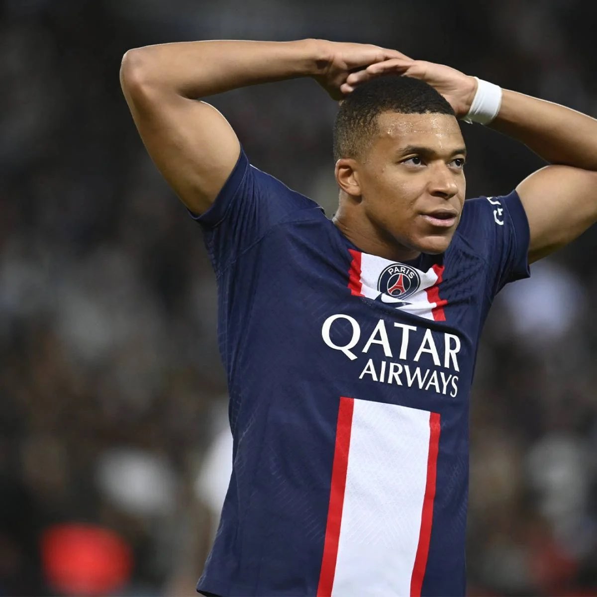 omada_app's tweet photo. Gardez bien ce tweet l’équipe !

💎 Si Mbappé quitte le PSG en janvier, on vous offre le montant de son transfert en diamants, réparti entre tout ceux qui auront Like + RT ce tweet.

N’oublies pas de donner ton code ami avec le RT si tu veux tes diams. https://t.co/YmvdkI8KrK