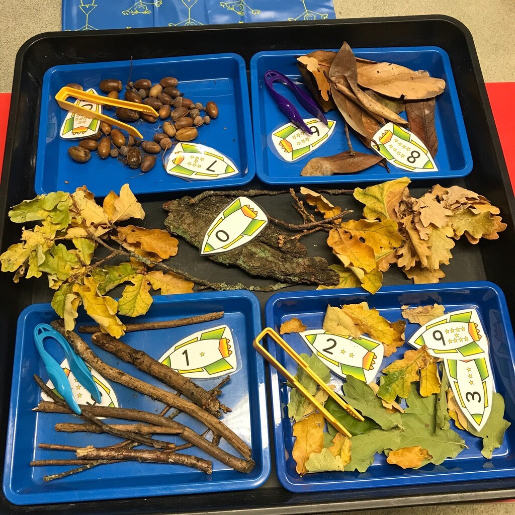 stockhousefleet's tweet photo. Thank You! We have loved looking through our Autumn treasure collections which have been brought back into school, please keep them coming so we can add to our seasonal trays in the classrooms. 🍁🍂🌰#earlyyearseducation #stocktonhouseschool #fleethamps… https://t.co/yrAplBYp81 https://t.co/19SpaUHsE3