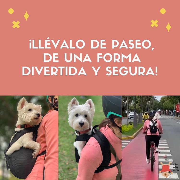 Yoshosdog's tweet photo. 💥MOCHILA YOSHOS DOG 💥
Ideal para distancias cortas o el final de paseos/senderismo, dándole a tu perro un respiro si está cansado o en caso de emergencia.
Mochilas Yoshos Dog
🛒 En dónde Comprar?
Ventas 👇
https://t.co/6NFQrYBzJm

#dogcarrier #mochilasparaperros #perro #bikers https://t.co/AjiEzXeSQP