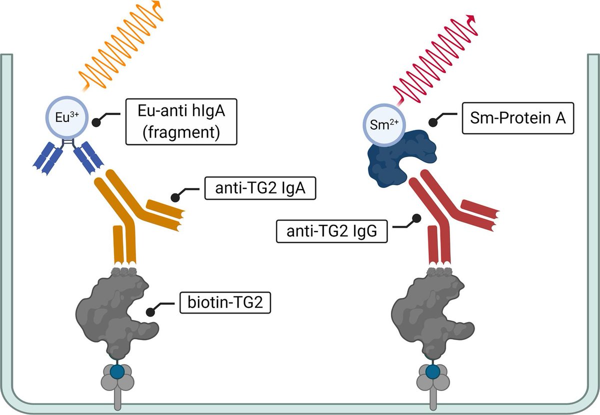 Clinical Biochemistry (@clin_biochem) on Twitter photo ICYMI- September Open Access: The development and validation of a high-capacity serological assay for celiac disease
sciencedirect.com/science/articl…
#OpenAccess #celiac #ICYMI ICYMI- September Open Access: The development and validation of a high-capacity serological assay for celiac disease
sciencedirect.com/science/articl…
#OpenAccess #celiac #ICYMI