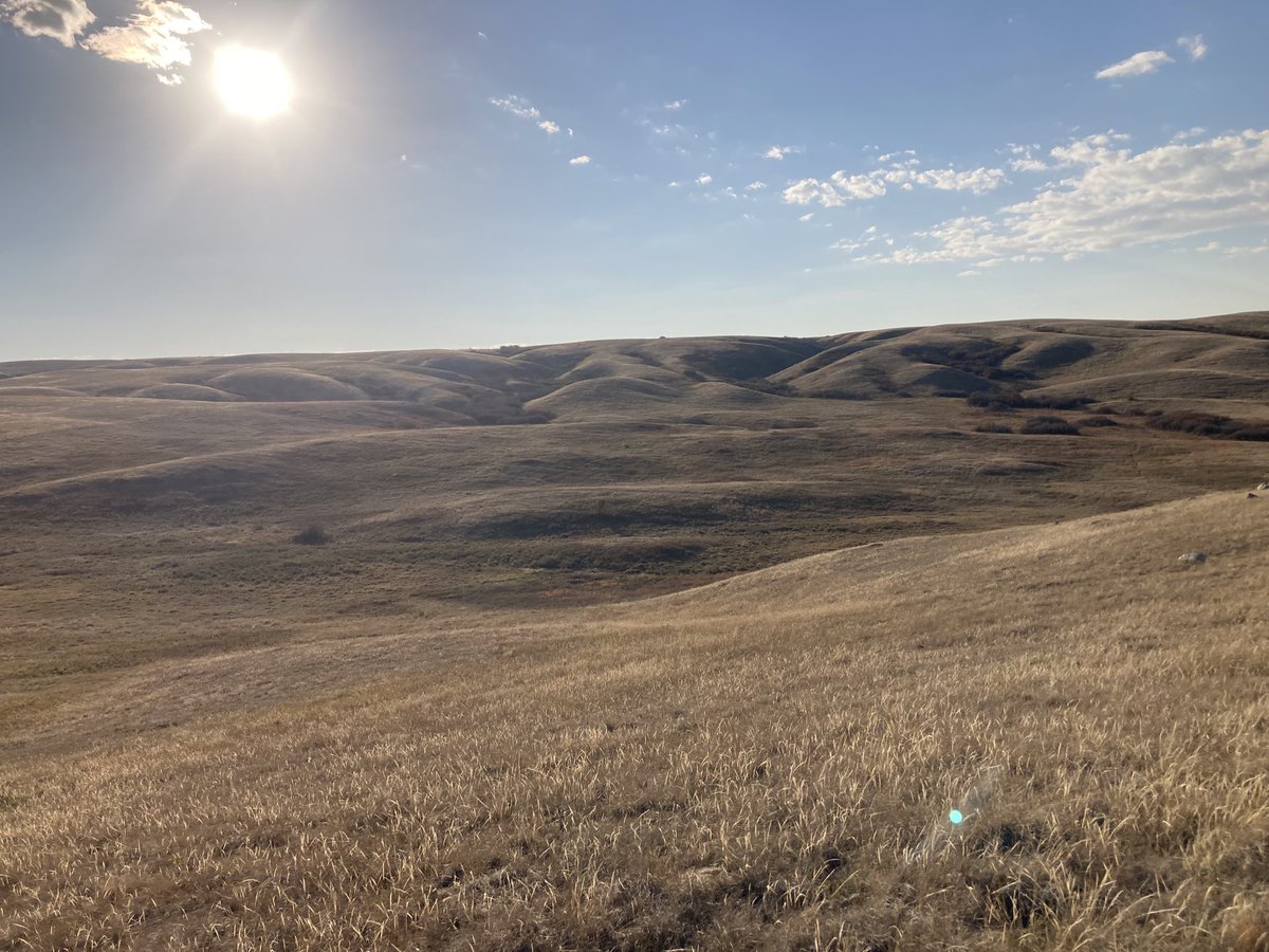 SundanceFarms's tweet photo. Grass is there but no water. #TuesdayTravels #MissouriCoteauHills #PalliserTriangle #Saskatchewan https://t.co/ulxWbCNgbf