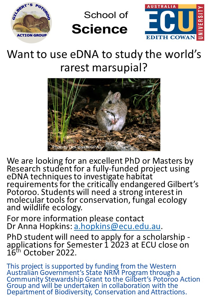 Do you want to use molecular tools in wildlife conservation? @meeg_ecology we have a funded PhD or masters project using #eDNA to understand the diet and habitat of the endangered Gilbert's Potoroo with @gilbertspotoroo @Science_DBCA 
Please share widely!