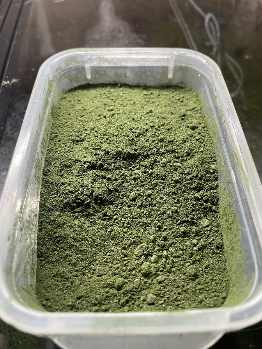 liebee0417's tweet photo. 動物性・植物性MIXの餌いいの見つからないからうちであげてる爆食のエサと緑藻粒ミキサーで砕いて混ぜてみた
これで交互にあげる面倒といちいち量調節のための砕いてあげる手間が省けた https://t.co/EIgMjHfJin