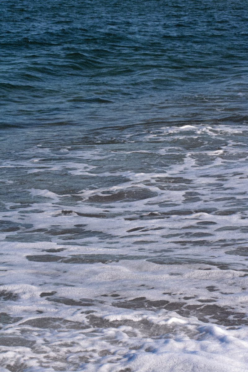 tbyi3o's tweet photo. 😶🌊 https://t.co/lvAP7v71JA