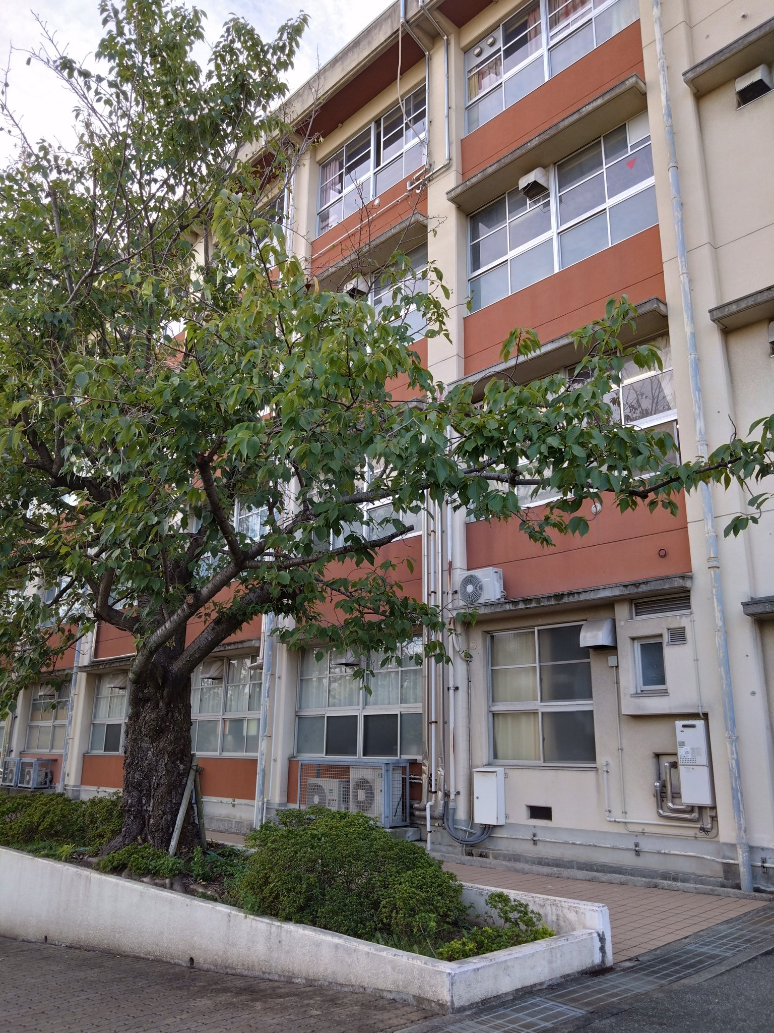 宮本 けいこ(西宮市議会議員/立憲民主党) on Twitter 