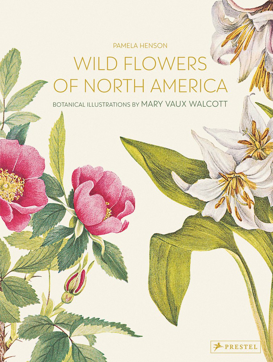 Smithsonian Libraries and Archives (@silibraries) on Twitter photo Today we're excited to announce the publication of "Wild Flowers of North America: Botanical Illustrations by Mary Vaux Walcott" from <a href="/Prestel_pub/">Prestel Publishing</a> .
Written by <a href="/SmithsonianArch/">Smithsonian Archives</a> Institutional Historian Pam Henson, it includes 250 of her botanical plates: s.si.edu/3RLSLK0 Today we're excited to announce the publication of "Wild Flowers of North America: Botanical Illustrations by Mary Vaux Walcott" from <a href="/Prestel_pub/">Prestel Publishing</a> .
Written by <a href="/SmithsonianArch/">Smithsonian Archives</a> Institutional Historian Pam Henson, it includes 250 of her botanical plates: s.si.edu/3RLSLK0