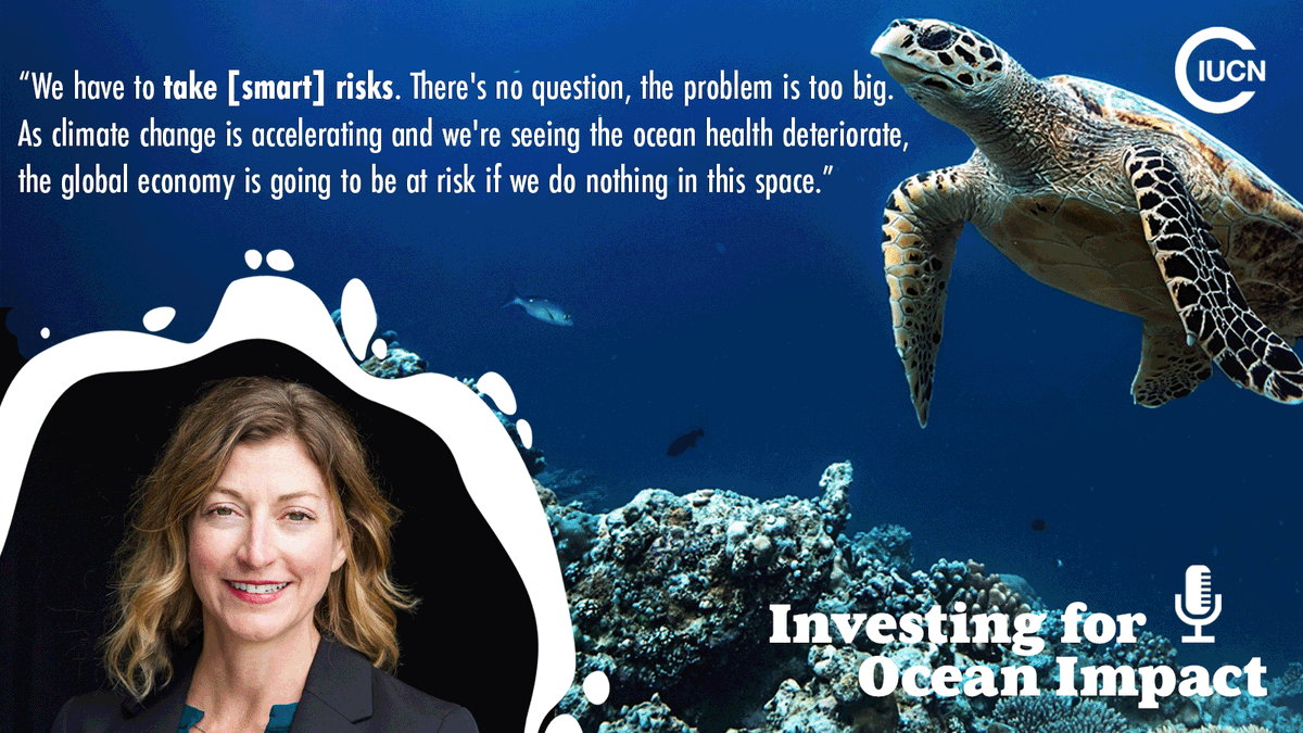 Melissa Garvey, Global Director of Ocean Protection <a href="/nature_org/">The Nature Conservancy</a>, shares her insights and understanding in Episode 1, Season 2, of Investing for Ocean Impact.

Note: if you're on a mobile, click on the pic, the text is worth reading! 
<a href="/ORRAAnews/">Ocean Risk and Resilience Action Alliance</a> <a href="/goceantrust/">Global Ocean Trust</a> <a href="/GlobalFundCoral/">Global Fund for Coral Reefs</a>
