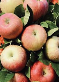 Manor ISD Food tweet media