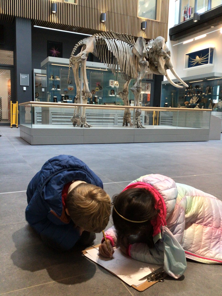 aldryngton's tweet photo. Today Lime class had their visit to the Cole Museum of Zoology at the University of Reading. The children had a great time investigating the specimens of animals on display.
#aldryngton #thecolemuseum #readinguniversity https://t.co/o4c5MjyCyG