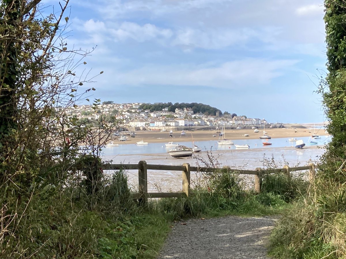 In Devon & the South West🌺 tweet media