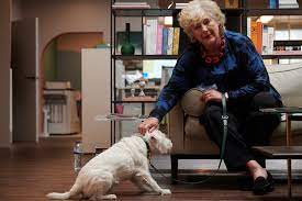 DogYearsTV tweet media