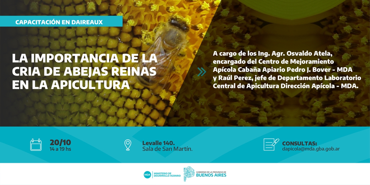 Ministerio de Desarrollo Agrario (@agrariopba) on Twitter photo 📍Daireaux
La importancia de la cría de abejas reinas en la apicultura 🐝
📌20/10
🕑14 a 19 hs
📫Levalle 140. Sala de San Martín
📩Consultas: dapicola@mda.gba.gob.ar 📍Daireaux
La importancia de la cría de abejas reinas en la apicultura 🐝
📌20/10
🕑14 a 19 hs
📫Levalle 140. Sala de San Martín
📩Consultas: dapicola@mda.gba.gob.ar