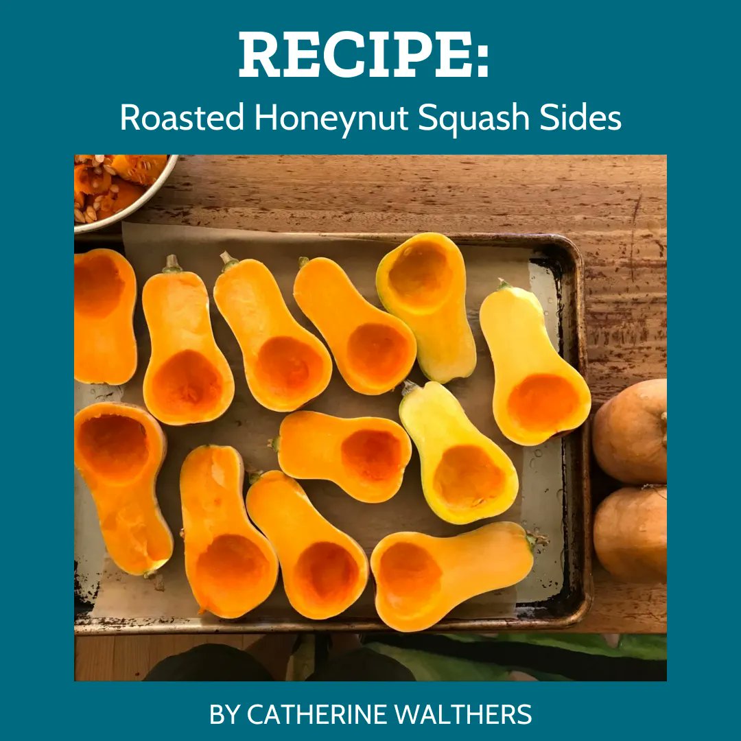 bluedotliving's tweet photo. As the weather cools down, it's time to embrace the warm flavors of fall. This recipe from @mvcooks is a perfect way to highlight seasonal produce from your local farmer's market. https://t.co/k1ndOjkluR #SeasonalCooking #CookLocal #FallRecipe #SquashRecipe https://t.co/gUx9jPduO1