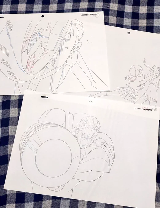 今回生動画交換していただいて獲得した蟇郡と。母にキュてマッサージされてキュてしてるヌッコ 