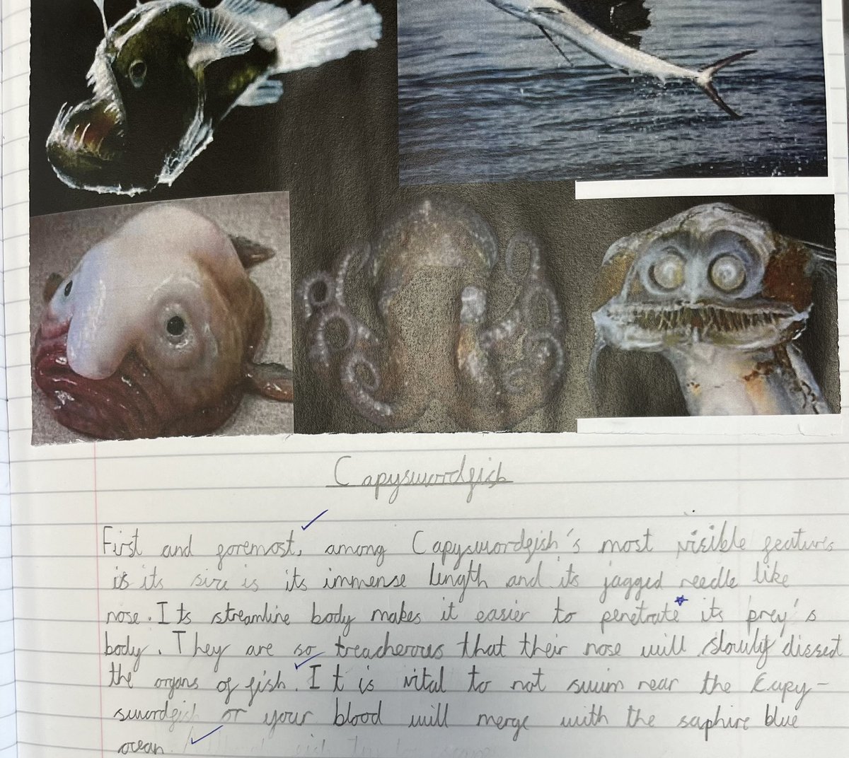 Miss Gowthorpe (@bps_gowthorpe) on Twitter photo Some great information text paragraphs written in our class today! <a href="/BoothferryPS/">Boothferry Primary #weareBoothferry</a> <a href="/MrsEmmerson/">Mrs Emmerson</a> @MrsLordLaverick <a href="/MrCapewell77/">Mr Capewell</a> Some great information text paragraphs written in our class today! <a href="/BoothferryPS/">Boothferry Primary #weareBoothferry</a> <a href="/MrsEmmerson/">Mrs Emmerson</a> @MrsLordLaverick <a href="/MrCapewell77/">Mr Capewell</a>