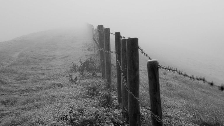 Gravity's Dissolution - mailchi.mp/gravitycenter.…