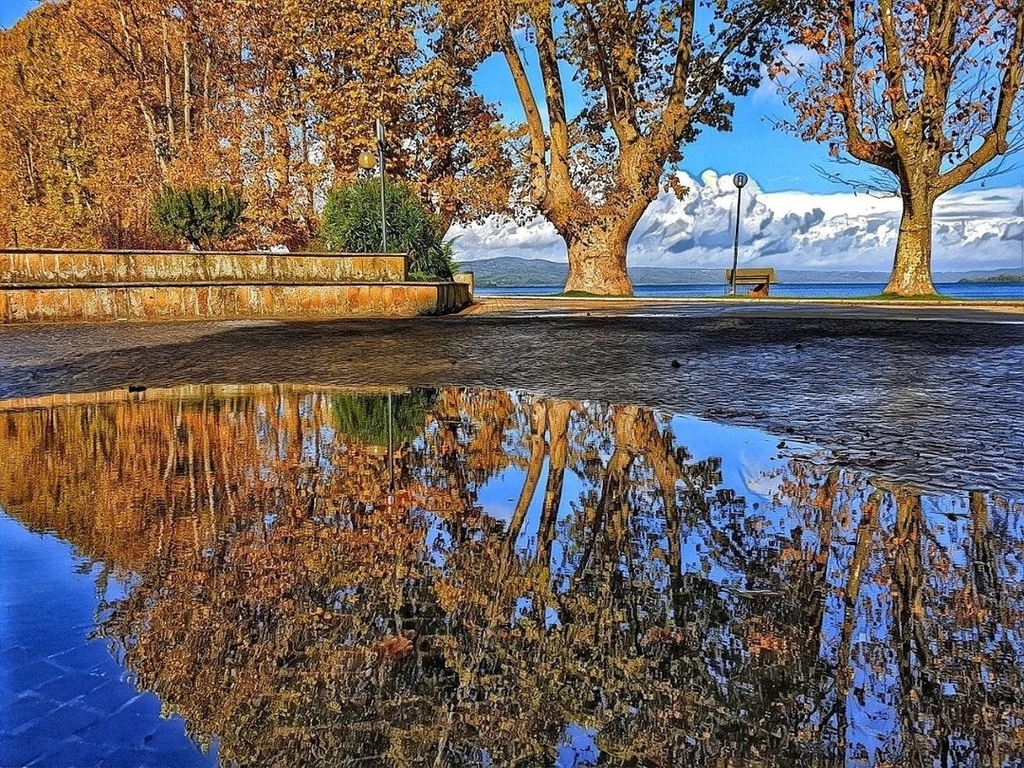 bolsenalake's tweet photo. Repost from @poeta54 
Lago di Bolsena
Sponda Capodimonte.

L'autunno è, soprattutto, una voglia di staccare!

#illagodibolsena #lagodibolsena #bolsenalake #tuscia #italy #Italia 🇮🇹 https://t.co/NuYMn3jMsZ https://t.co/81RVScnDOv