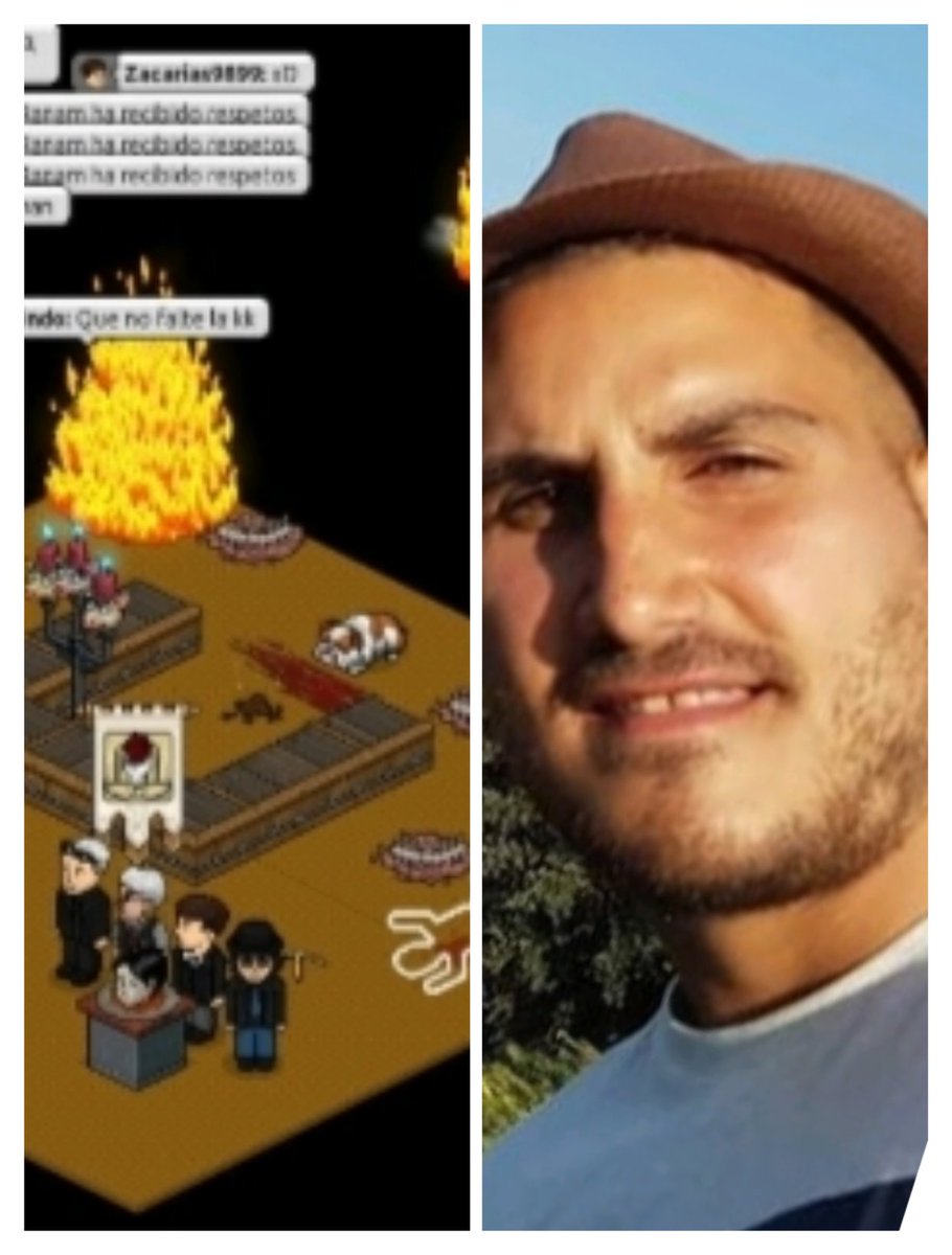 Sally Bugs tweet media