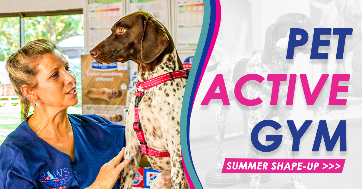 Paws-itive Paws-abilities tweet media