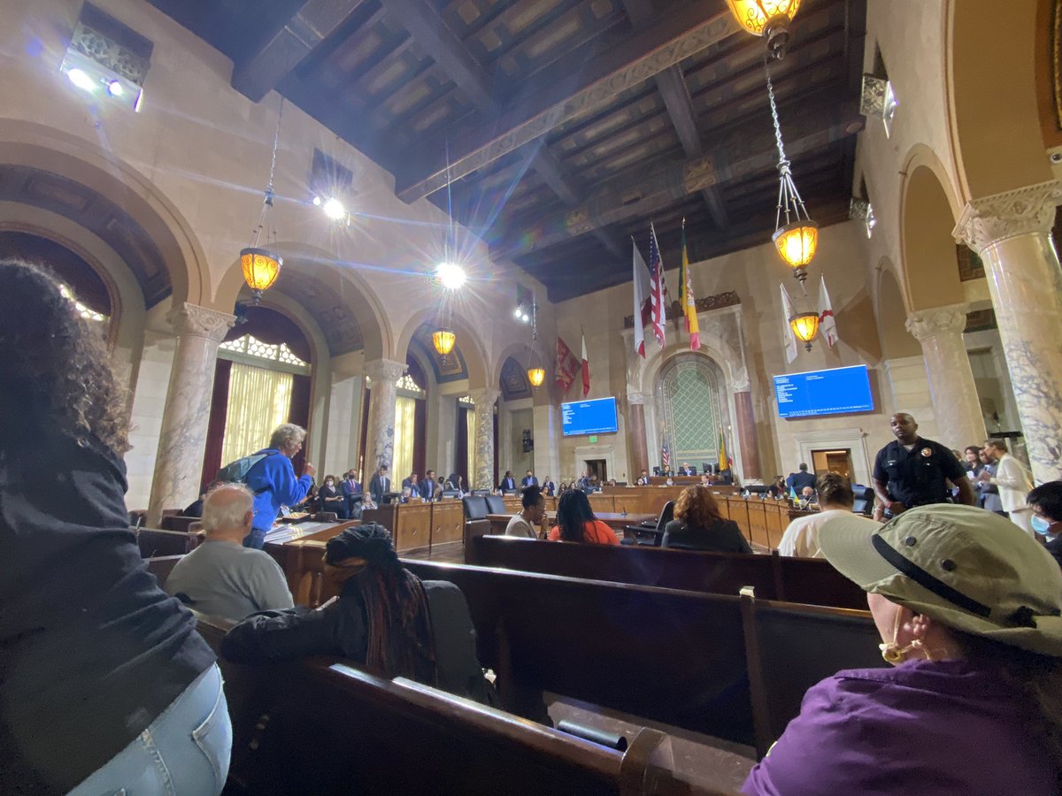 In a rare return to normalcy, someone is now yelling about CEQA at LA City Council. Nature is healing.