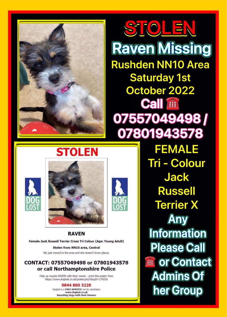 Harvey's Army (@harveysarmy1) on Twitter photo 💔💔 PLEASE HELP 💔💔
#FindRaven STOLEN #Northants #Rushen <a href="/2hot2handleUK/">STOLENPETSUK</a> <a href="/GrayRiobo/">Wendy Gray</a> <a href="/rex_wendy/">wendy gray</a> <a href="/kimwilde/">Kim Wilde👽</a> <a href="/alandavies1/">Alan Davies</a> <a href="/grahnort/">graham norton</a> <a href="/hollywills/">Holly Willoughby</a> <a href="/ladygaga/">Lady Gaga</a> 💔💔 PLEASE HELP 💔💔
#FindRaven STOLEN #Northants #Rushen <a href="/2hot2handleUK/">STOLENPETSUK</a> <a href="/GrayRiobo/">Wendy Gray</a> <a href="/rex_wendy/">wendy gray</a> <a href="/kimwilde/">Kim Wilde👽</a> <a href="/alandavies1/">Alan Davies</a> <a href="/grahnort/">graham norton</a> <a href="/hollywills/">Holly Willoughby</a> <a href="/ladygaga/">Lady Gaga</a>