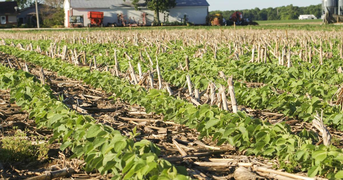 FarmWeekNow/RFD Radio tweet media