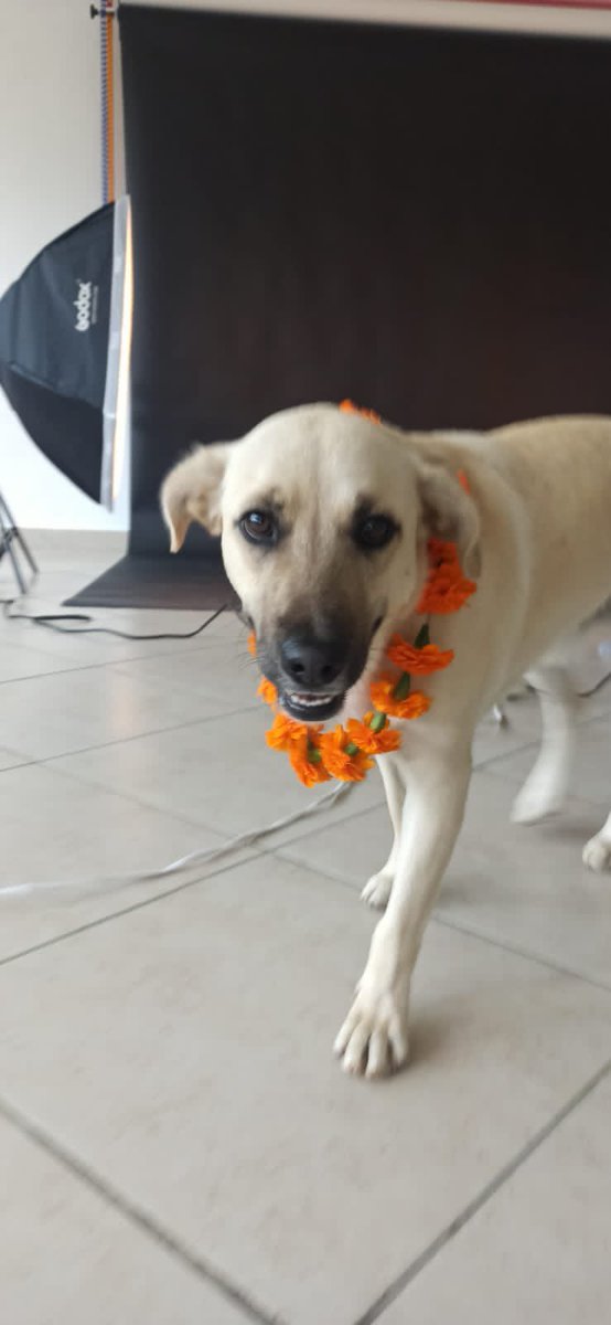 Unos bebés están en sesion de fotos !! ♥️