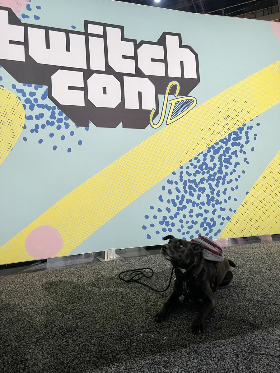 Our little #Nova #backpackdog at #TwitchCon2022 loving life! #KOOPATROOP #WOLVfam #sd #puppylove #PositiveVibes