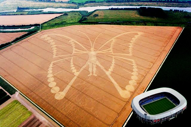 link3din's tweet image. Working on flying my butterfly. @bakersfieldpd @RiversidePolice @BillGates @GavinRossdale @Lifehouse @GavinNewsom #EtherRush The stadium layer is to represent the colossal butterfly which is made of me, for me to give to you.
Everyone has Good Luck. #EtherSmoke @JohnLCooper