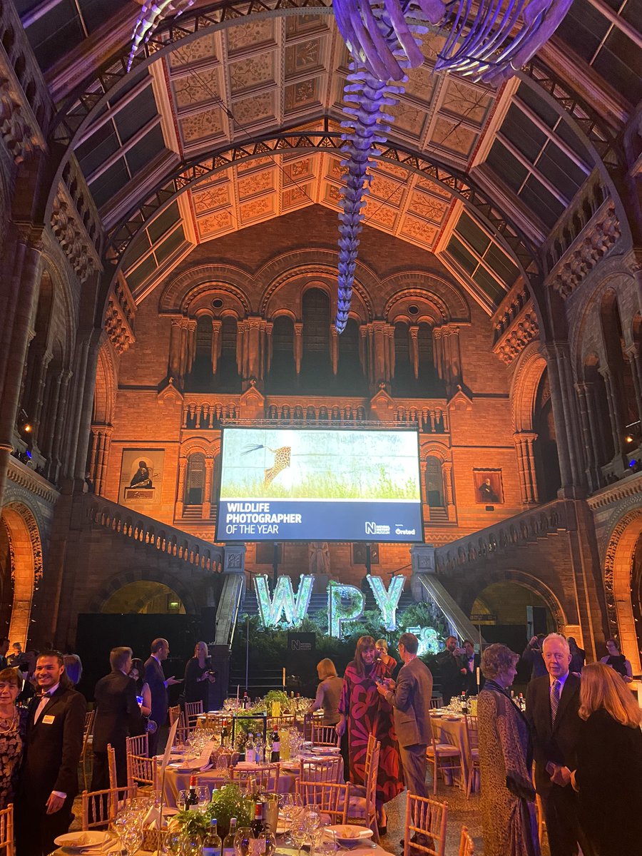 bernarddonoghue's tweet photo. So delighted to be here @NHM_London for Wildlife Photographer of the Year #WPTY  - and the Hinzte Hall is looking superb. https://t.co/oANudUX71y